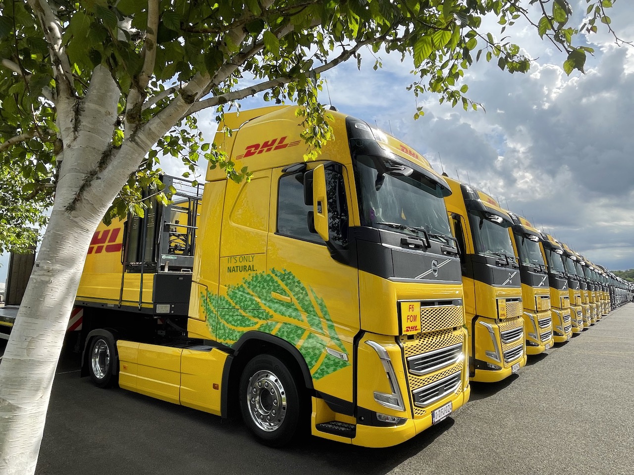 DHL fleet of biofuel trucks 2023